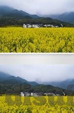大象传媒dx永久-探索大象传媒DX的持久影响力，数字时代的传媒创新与用户粘性构建