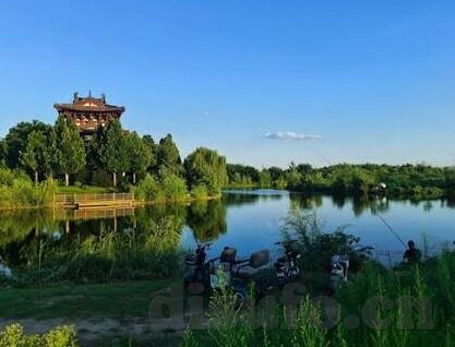 国产麻豆传媒视频-国产麻豆传媒视频的创作视角与社会影响探析