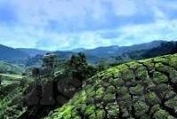 国产中文原创视频麻豆-国产中文原创视频的力量，麻豆现象的崛起与创新