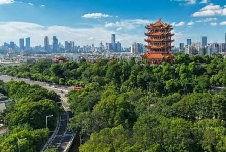 后入人妻在线-探索网络伦理的边界，关于后入人妻在线现象的深思
