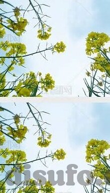 麻豆传媒视频免费观看网页-深挖娱乐边界，探究麻豆传媒及其免费观看网页的复杂现象