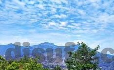 茄子视频app成人-茄子视频app，成人娱乐的灰色地带