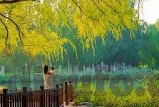 糖心app引导网站大全-赏识真实之美，探索糖心APP的精神世界及其引导的多元化网站